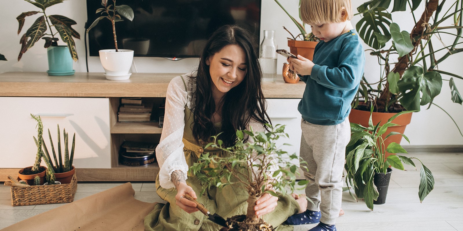 Tener plantas en casa mejora tu calidad de vida
